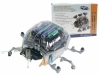AVT KSR6 ROBOT LADYBUG