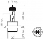 Obraz: ŻARÓWKA 12V/60W/55W H4 P43T